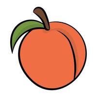 Trendy Apricot Concepts vector