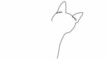 Continuous black line drawing a simple cat pattern video