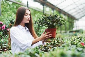 Foto de niña hermosa cuidando plantas en invernadero