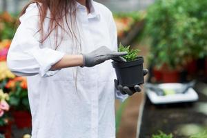 Ramming the soil. Photo of girl in gloves working with the plant in the pot