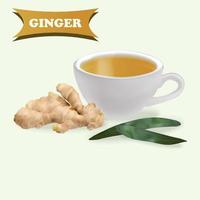 realistic ginger cup vector