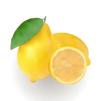 lemon fruit vector realistic
