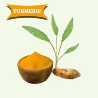 realistic tumeric vector design