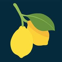 doodle freehand sketch drawing of lemon fruit. vector