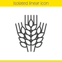 Wheat ears linear icon. Barley thin line illustration. Spikes of rye contour symbol. Vector isolated outline drawing