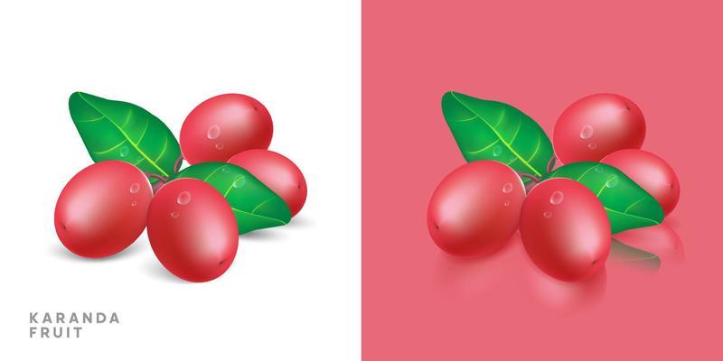 Karanda fruits and leafs realistic closed up isolated on background