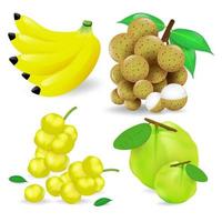 Set of vector fruits. Banana,Longan,Star Gooseberry, and Guava isolated on white background