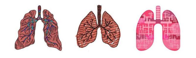 drawing of a human lung doodle sketch flat style vector