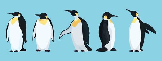 Personajes de pingüinos brillantes en diferentes poses. vector