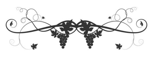 drawn vine grape weaving on a white background vector