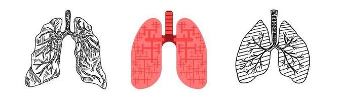 drawing of a human lung doodle sketch flat style vector