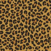 Leopard seamless pattern. Vector african background. Wild animal wallpaper.