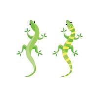 Gecko or lizard Vector illustration