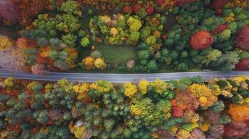 colores otoñales y vista aérea de la carretera de montaña video