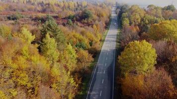 colores otoñales y vista aérea de la carretera de montaña video