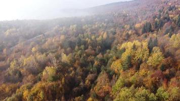 couleurs d'automne et vue aérienne de la route de montagne video