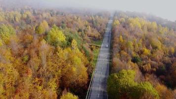 Autumn colors and mountain road aerial view video