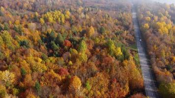 couleurs d'automne et vue aérienne de la route de montagne video