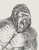 Ilustración estilo de grabado de gorila vintage vector