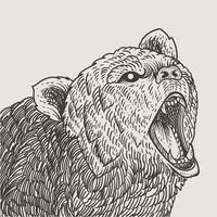 ilustración, vendimia, oso pardo, grabado, estilo vector