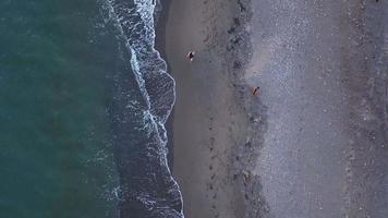 ragazza e cane che camminano sulla spiaggia di almeria al tramonto. vista aerea video