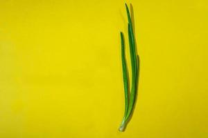 jugosas cebollas verdes sobre un fondo amarillo foto