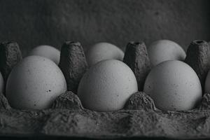 huevos de gallina blanca en una bandeja de cartón. foto