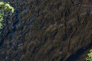 Water on the rocks overgrown with moss. photo