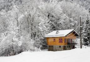 última cabaña al lado del bosque foto