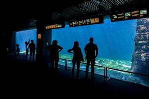 GENOA, ITALY, JUNE 2, 2015 - Unidentified people at Genoa aquarium. The Aquarium of Genoa is the largest aquarium in Italy and among the largest in Europe. photo