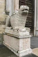 Lion statue in front of Parma Cathedral, Italy photo