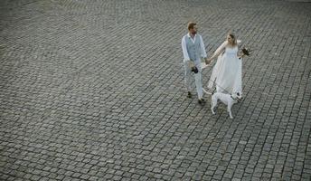 High angle view at young newlywed couple with their Jack Russel Terrier dog photo