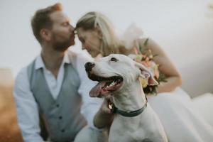 Young newlywed couple with their Jack Russel Terrier dog