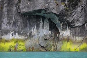 marcas de marea de algas verdes, brazo endicott foto