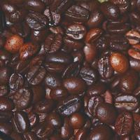 detalle de granos de cafe