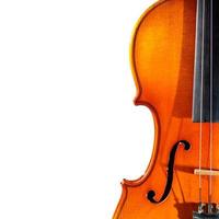 Detail of old violin on a white background photo