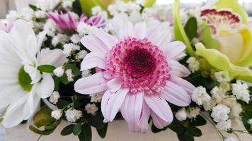 white and green flowers in flower pots outdoors closeup photo