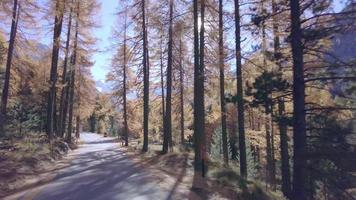 Carretera que conduce a la localidad turística de los alpes suizos morteratsch video