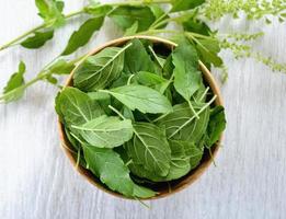 Basil leaves in a bowl photo