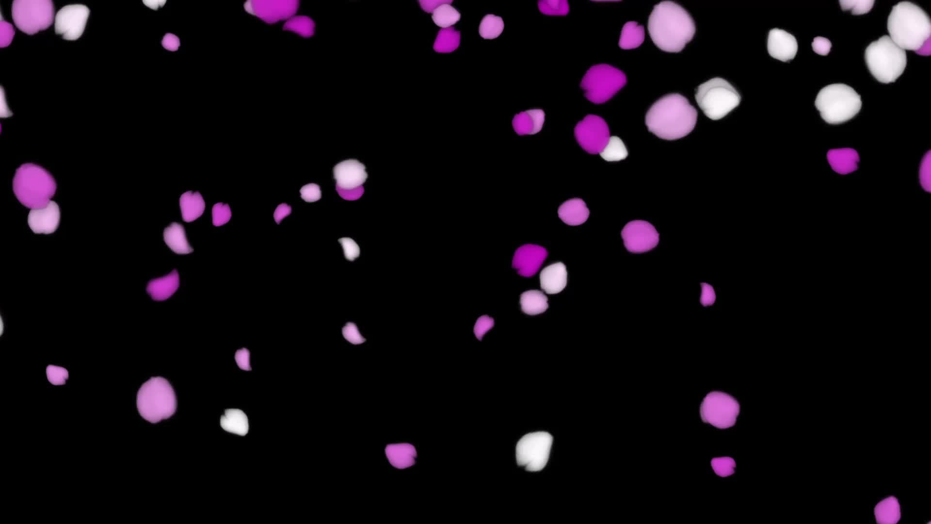 Petals falling stock video footage 4286668 Stock Video at Vecteezy