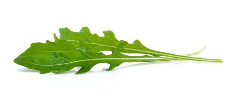 Ensalada de rúcula dulce o rúcula hojas de lechuga aislado sobre fondo blanco. foto