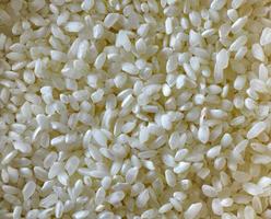 White Rice grain texture background photo