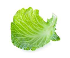 cabbage leaf on white background photo