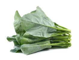 chinese broccoli on white background photo