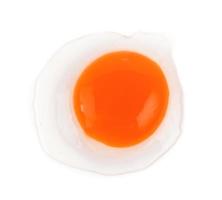 eggs on white background photo