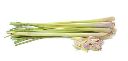 lemongrass on white background photo