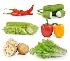 peppers, lettuce, Sponge Gourd, Momordica, Lotus root on white background photo