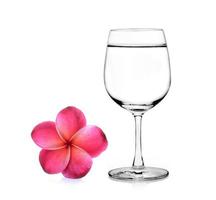 Vaso de agua y flor de frangipani aislado fondo blanco. foto