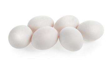 huevos blancos sobre fondo blanco foto