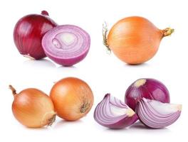 onion on white background photo
